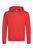 &laquo;HOODED SWEATSHIRT&raquo; Men