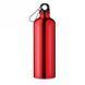 Flask &laquo;BIG MOSS&raquo; aluminum, 750 ml