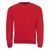 Sweatshirt &laquo;SPIDER&raquo;