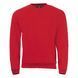 Sweatshirt &laquo;SPIDER&raquo;