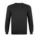 Raglan &laquo;BROOK&raquo;
