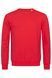 Sweatshirt &laquo;ACTIVE&raquo;