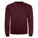 Sweatshirt &laquo;SPIDER&raquo;