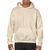 Raglan &laquo;HEAVY BLEND&raquo; hooded